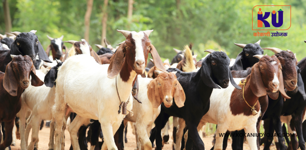 GOAT FARMING BUSINESS IN MARATHI 2