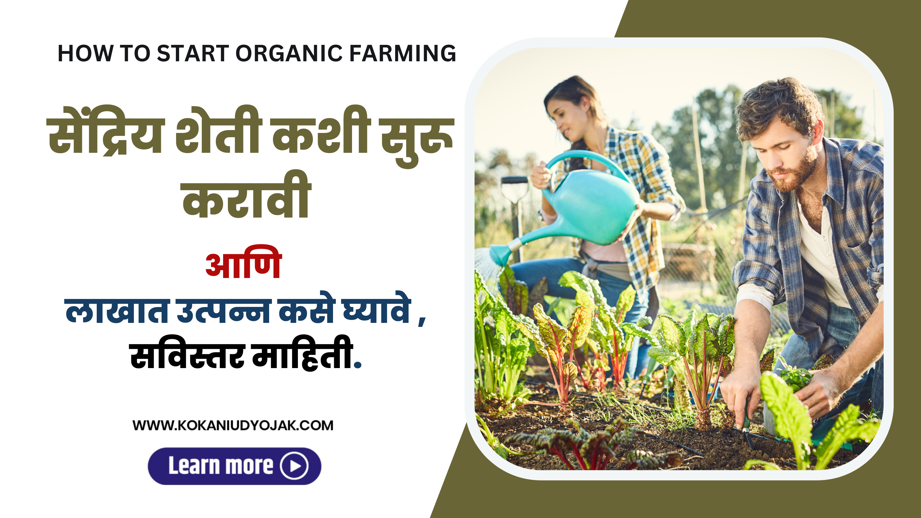 HOW TO START ORGANIC FARMING